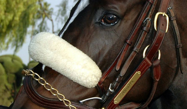 inazuma eleven jako siostra Xaviera Fostera.Cz.2