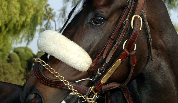 inazuma eleven cz.2  lekcja biologi.