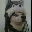Margo_2008
