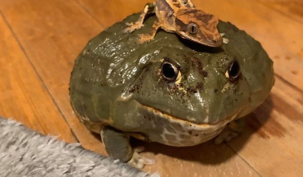 Którym skurwysynem jesteś???