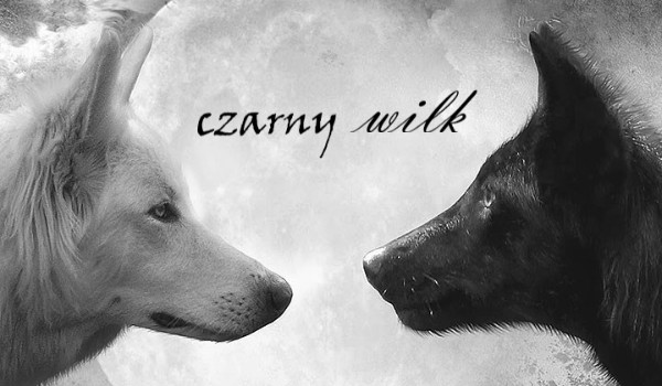 Czarny wilk#9 + nowa miniaturka