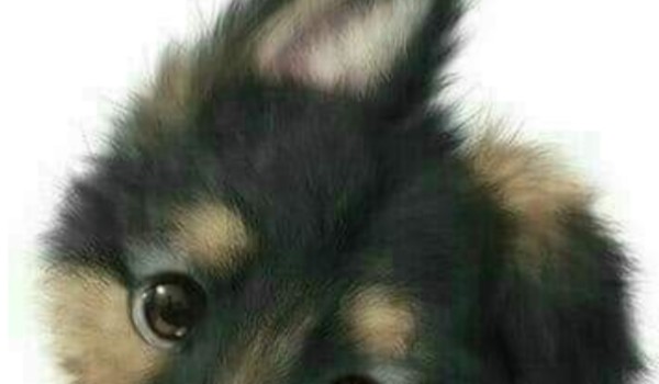 Odpadasz jeśli masz…