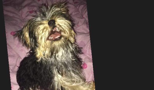 Jak bardzo znasz Nexe333?