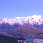 Psiaczki