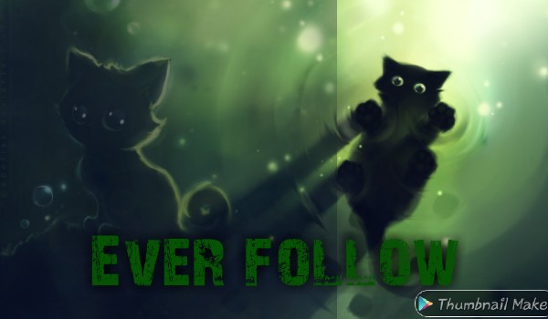 Ever follow no.18 @wilczyca2000