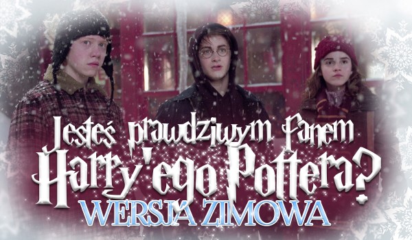 Czy jesteś prawdziwym fanem „Harry’ego Pottera”? Wersja zimowa!