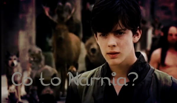 Co to Narnia?#11