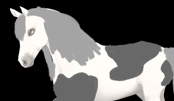 Czy znasz się na sso?