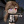 little_otaku