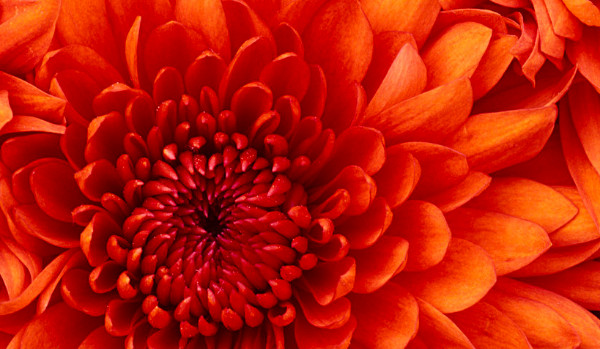 inazuma eleven go cz.2