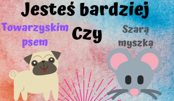 Jesteś bardziej szarą myszką czy towarzyskim psem?