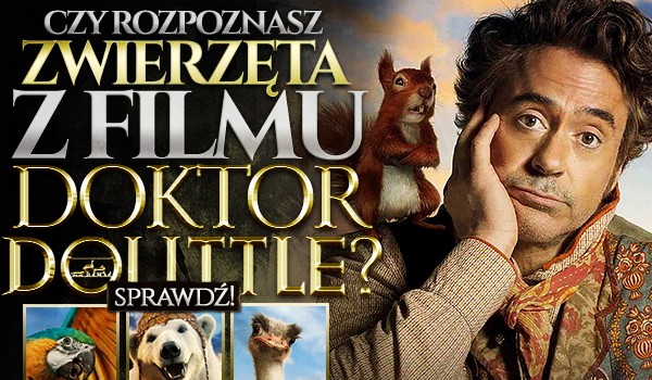 Czy rozpoznasz zwierzęta z filmu „Doktor Dolittle”?