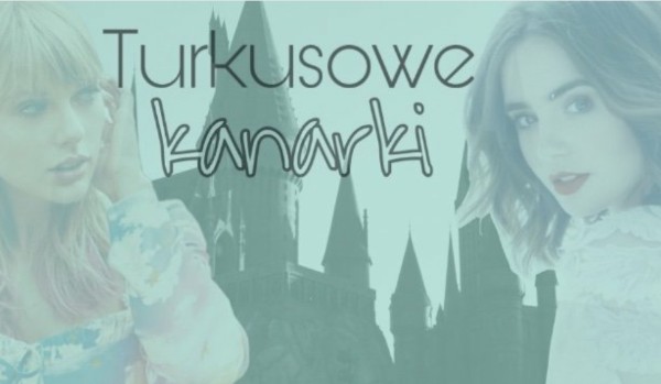 Turkusowe Kanarki #6