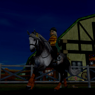 horsesandponies20008