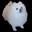 The_Bork_XD
