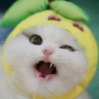 Malinka744