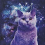 kosmiczne_koty