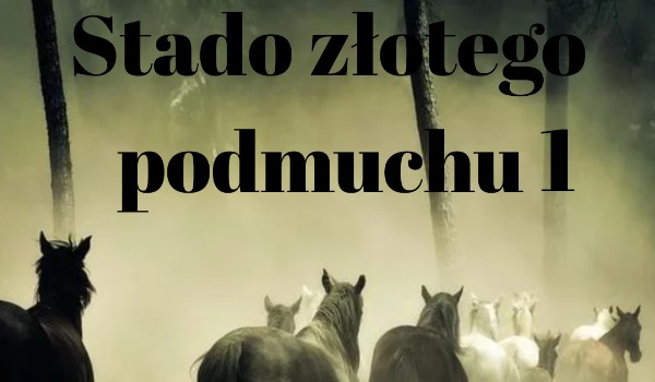 StadoZłotegoPodmuchu 1