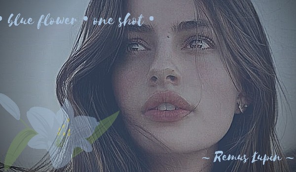 • blues flower • one shot  ~Remus Lupin~
