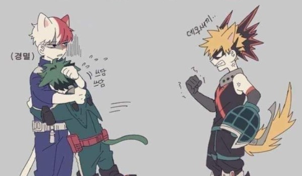 Bakugo vs Deku