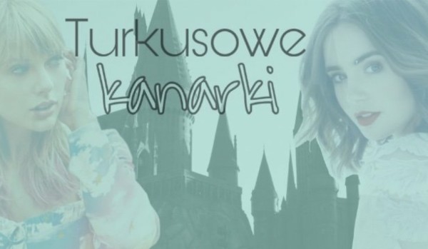 Turkusowe Kanarki #2