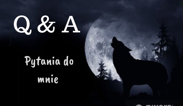 Q & A~ Pytania do mnie cz. 2