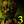 Freddy234