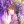 ayanochan4