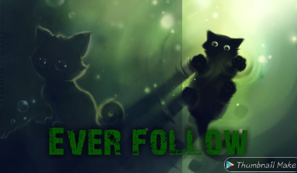 Ever follow no.54 @Kiki2006