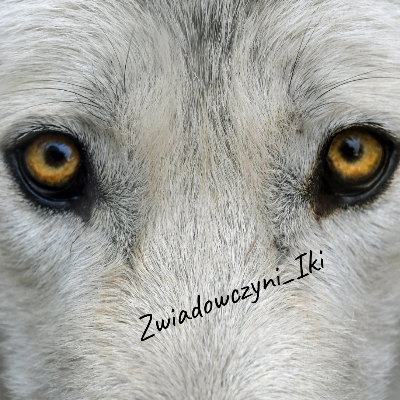 Zwiadowczyni_Iki