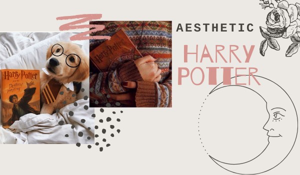 AESTHETIC – Harry Potter