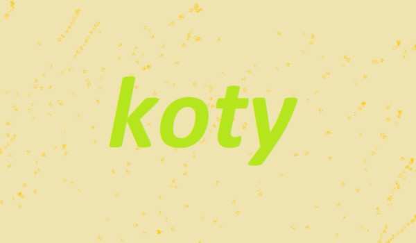koty 3#