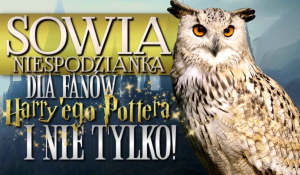 Sowia niespodzianka! – dla fanów Harry’ego Pottera i nie tylko!