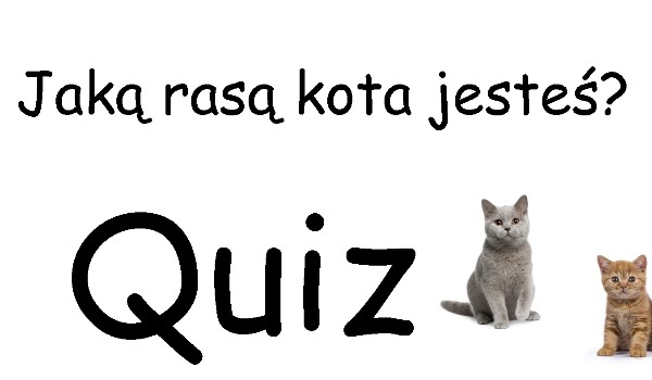 Jaką rasą kota jesteś!