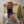 AlanQ_2020