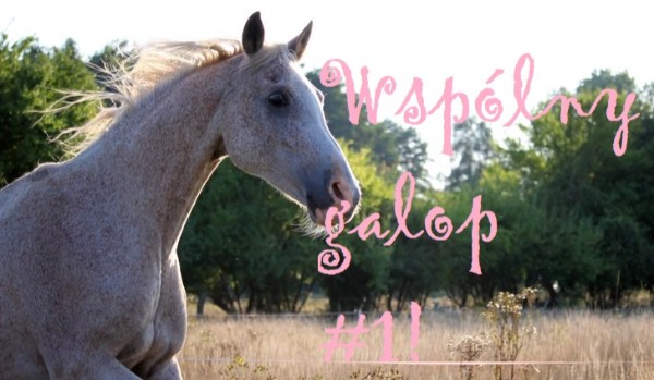Wspólny galop #1!