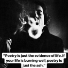 Can_you_show_me_starry_night