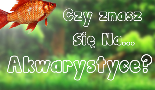 Czy znasz się na akwarystyce?