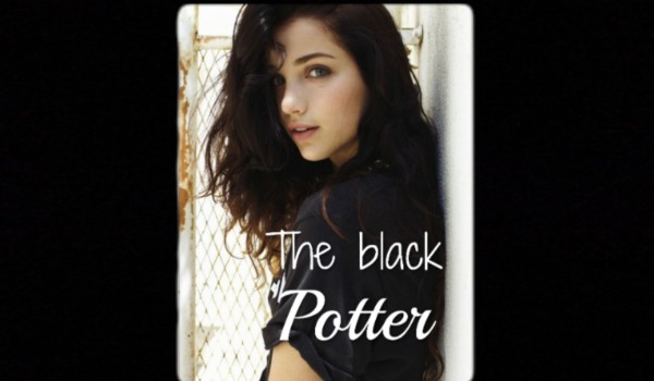 The black Potter #6