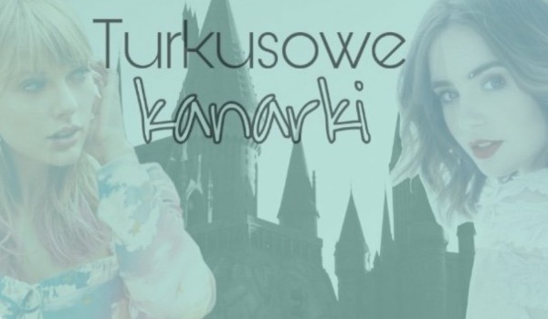 Turkusowe Kanarki #7