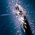 gwidon_diament