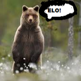 elobearek