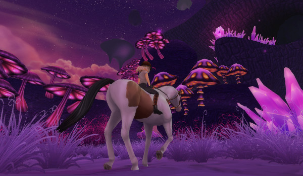 Moje zdjęcia z sso 2#3