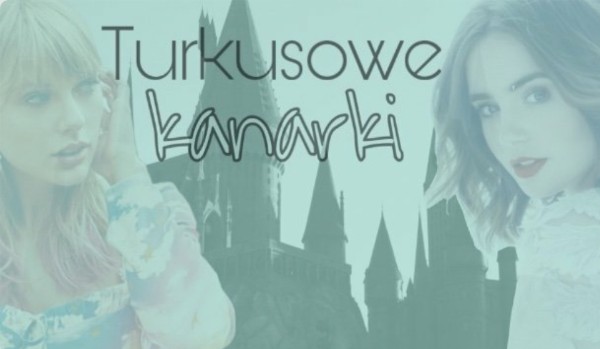 Turkusowe Kanarki #8