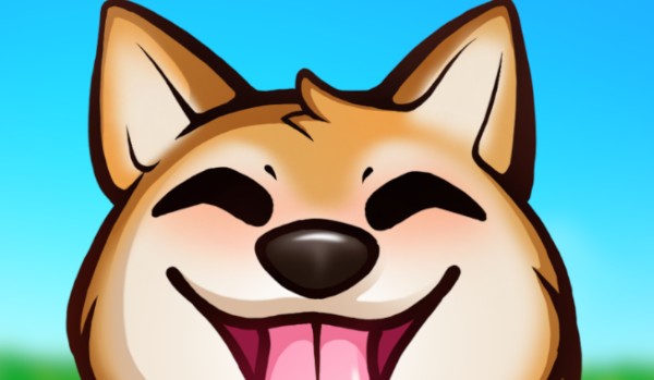 Test wiedzy o nexe333