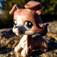 kery_lps_