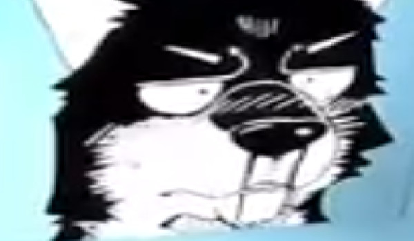 Shipy – ConturyHumans #7