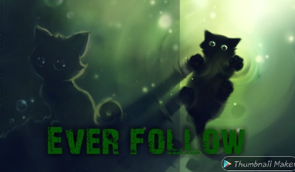 Ever follow no.56 @xSurvival