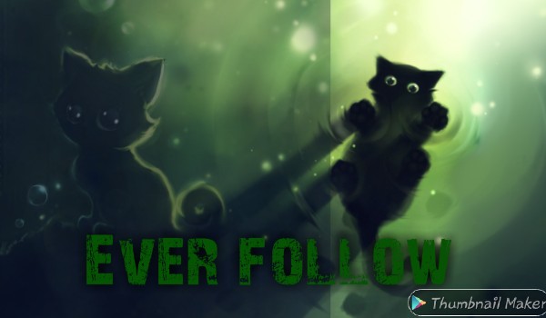 Ever follow no.63 @Alpaczek_13