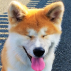 patrxaq